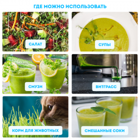 Микроферма RAWMID Dream Sprouter SDM-02 (проращиватель и выращиватель)