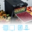 Дегидратор RAWMID Modern RMD-07 (стальные лотки)