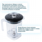Профессиональный блендер RAWMID Professional RPB-02