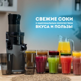 Шнековая соковыжималка RAWMID Greenery RGJ-04 