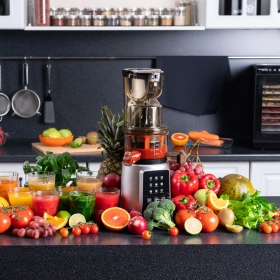 Шнековая соковыжималка RAWMID Dream Juicer Modern JDM-80