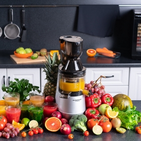 Шнековая соковыжималка RAWMID Vitamin RVJ-02
