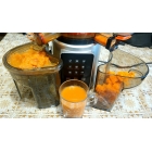 Шнековая соковыжималка RAWMID Dream Juicer Modern JDM-80