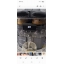 Соковыжималка для цитрусовых RAWMID Mini RMJ-02
