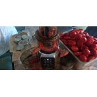 Шнековая соковыжималка RAWMID Dream Juicer Modern JDM-80