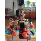 Шнековая соковыжималка RAWMID Dream Juicer Modern JDM-80