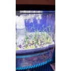 Микроферма RAWMID Dream Sprouter SDM-02 (проращиватель и выращиватель)