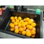 Соковыжималка для цитрусовых RAWMID Mini RMJ-02