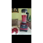 Блендер профессиональный RAWMID Dream Classic BDC-03 BPA-FREE