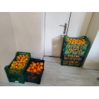 Шнековая соковыжималка RAWMID Vitamin RVJ-02