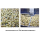 Микроферма RAWMID Dream Sprouter SDM-02 (проращиватель и выращиватель)