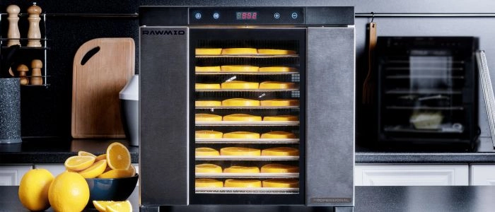 Профессиональный дегидратор RAWMID Dream PRO 2 DDP-10: полный обзор