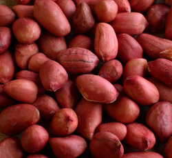 приготовление арахисовой пасты с помощью блендера