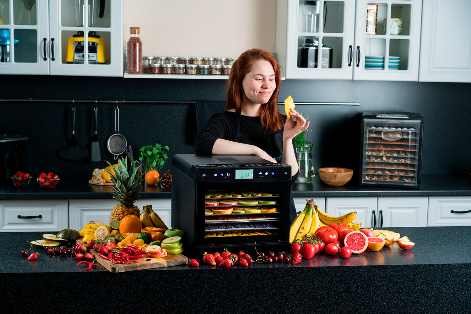 Дегидратор для овощей фруктов ягод грибов RAWMID Modern RMD-10