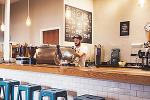 Блендер с шумопоглощающим колпаком RAWMID RPB-01