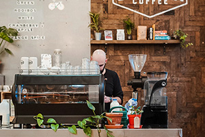 Блендер с антишумовым колпаком RAWMID RPB-01