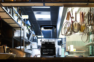 Блендер с колпаком для кафе RAWMID Professional RPB-01